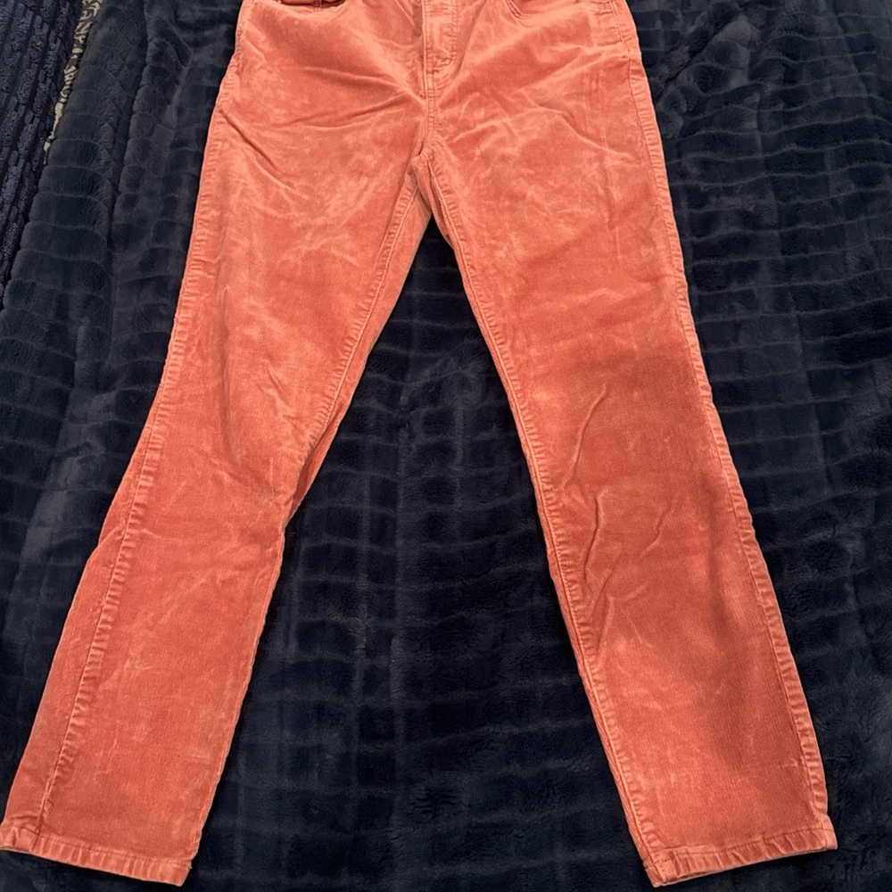 Pink Loft Corduroy Pants size 30